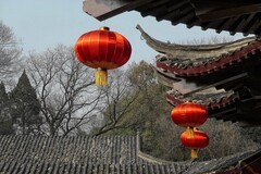 武汉梅花园（十八）