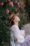 烈士公园蔷微花--8
