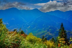 婺源篁岭风景 11