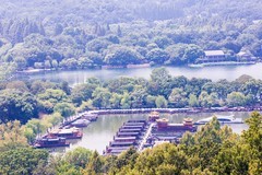 外出随拍（527）.