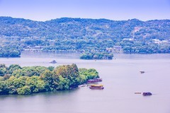 外出随拍（527）.