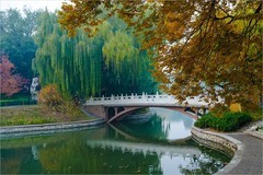 2025年第0789贴-紫竹院公园风光纪实拍（1115）