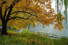 2025年第0789贴-紫竹院公园风光纪实拍（1115）