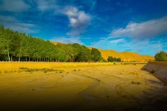 敦煌旅行随拍 2