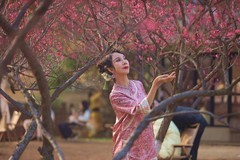 沙湾公园梅园拍人物--6