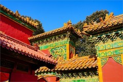 2026年第0113贴-故宫博物院纪实拍（0209）