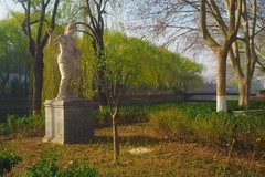 初春·世纪公园