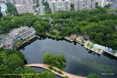 常州红梅公园
