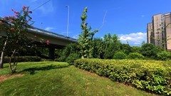 浏阳河畔【大疆远动相机拍】11