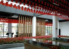 039【不老松：二游海南纪实】临高长島兰湾的鸡冠花！