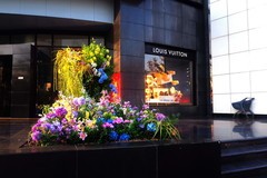 冬日·石家庄街景2