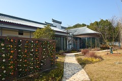 公园景色（续）