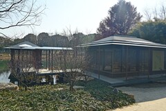 公园景色（续）