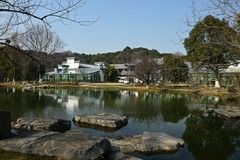 公园景色（续）