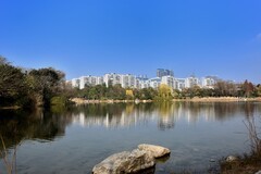 冬日的桂溪公园【3】