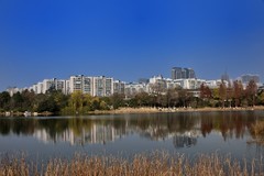 冬日的桂溪公园【3】