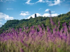 一镜走天下之~~找个空气好的地方