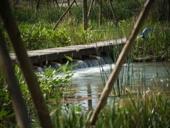 一镜走天下之~~找个空气好的地方