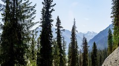 伊犁昭苏夏塔（5）