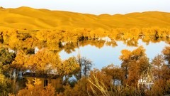 南疆行——尉犁葫芦岛的风景（8）