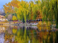 手机游拍20241112《74》