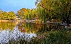 手机游拍20241112《74》