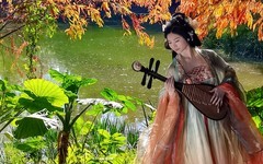 [26045] 华南植物园随拍