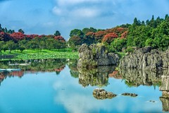 昆明 · 石林 · 石林湖
