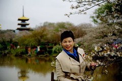 樱花园的美女！