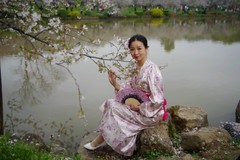 樱花园的美女！