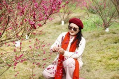 红梅花开迎新春(二)