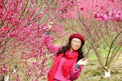 红梅花开迎新春(二)