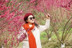 红梅花开迎新春(二)