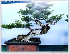 五一漫步【丙午年-120】