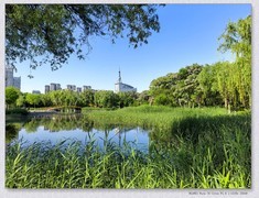 五一漫步【丙午年-120】