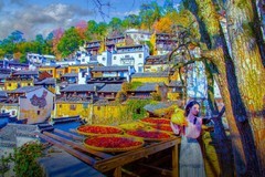 婺源篁岭风景 14