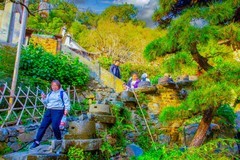 婺源篁岭风景 15
