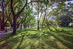 深圳人民公园 掠影