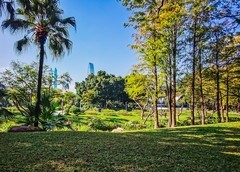 深圳人民公园 掠影