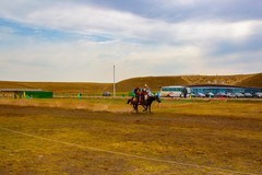 昭苏湿地公园跑马场 4