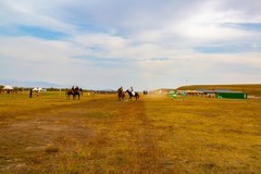 昭苏湿地公园跑马场 4