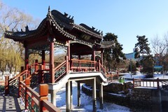 冬逛泰和园（3）