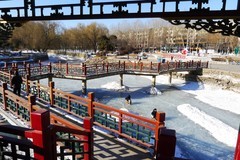 冬逛泰和园（3）