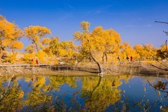 外出随拍（658）.