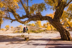 外出随拍（658）.