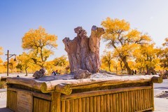 外出随拍（658）.