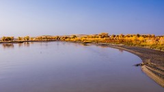 外出随拍（659）.