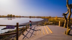 外出随拍（659）.