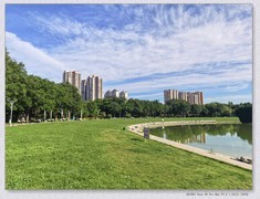 雨后遛弯【丙午年-297】