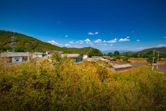 香格里纳到西双版纳沿途风景